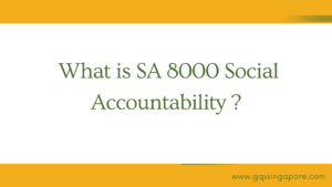 Read more about the article What is SA 8000 Social Accountability ?