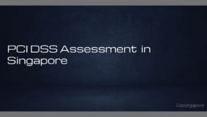 Read more about the article PCI DSS Assessment in Singapore